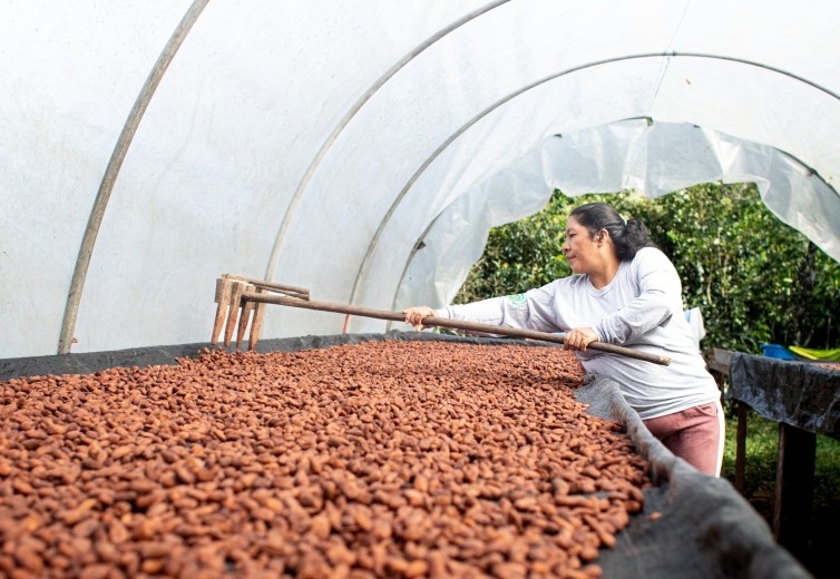CHOCOA 2022: Lutheran World Relief's commitment to the cocoa sector